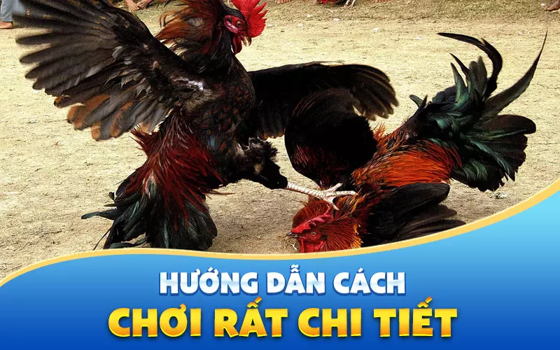 huong-dan-cach-choi-chi-tiet