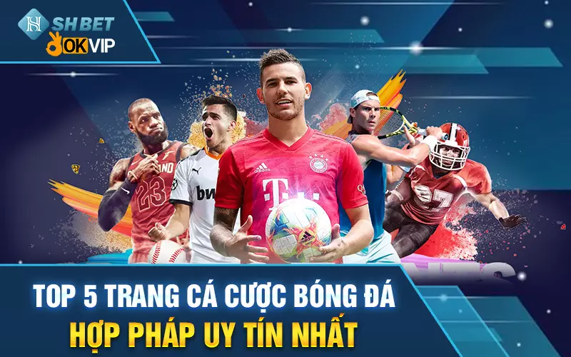 top-5-trang-web-ca-cuoc-hop-phap