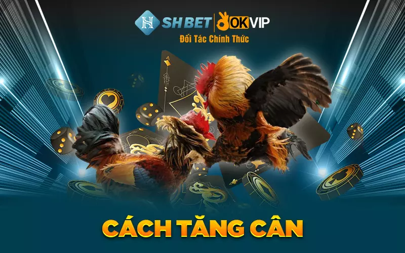 Cách tăng cân