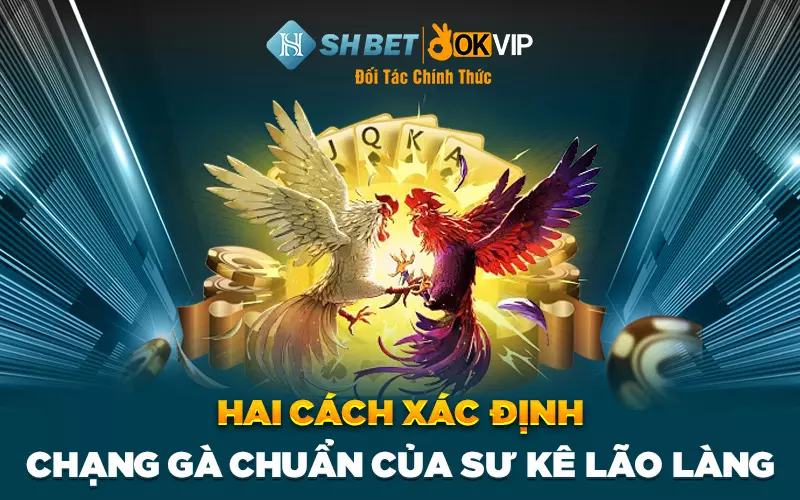 Hai cách xác định chạng gà chuẩn của sư kê lão làng