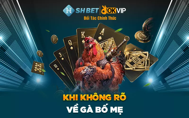 Khi không rõ về gà bố mẹ