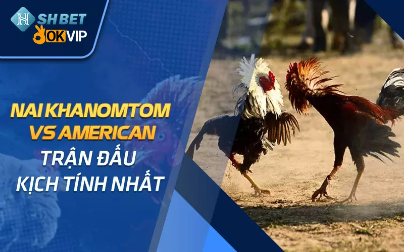 Nai-Khanomtom-vs-American-tran-dau-kich-tinh-nhat