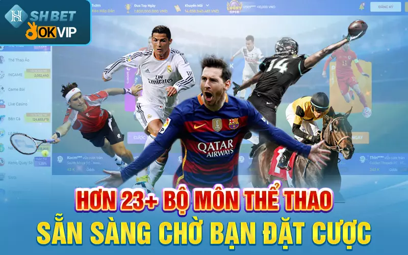 hon-23-bo-mon-the-thao-san-sang-cho-ban-cuoc