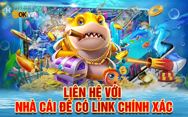 lien-he-voi-nha-cai-de-co-link-chinh-xac