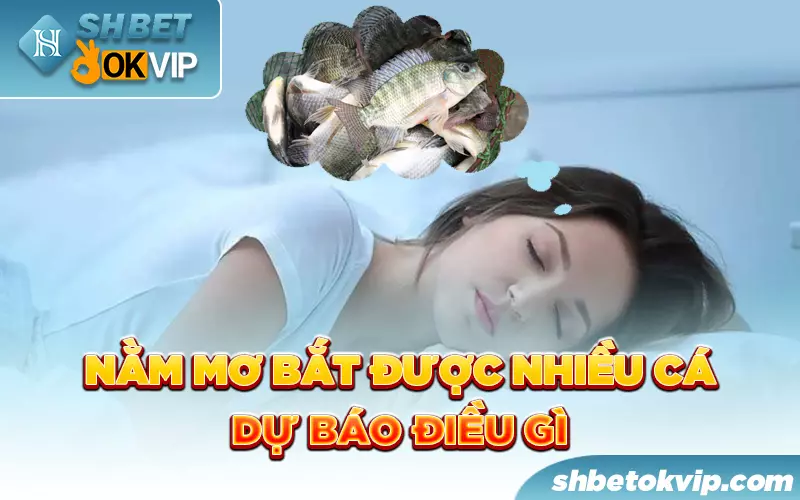 nam mo bat duoc nhieu ca