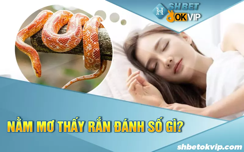 Nằm mơ thấy rắn đánh số gì?