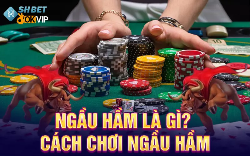 Ngầu hầm là gì? Cách chơi ngầu hầm mới nhất