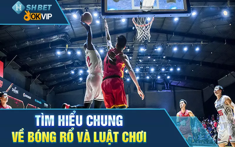 tim-hieu-chung-ve-bong-ro-va-luat-choi