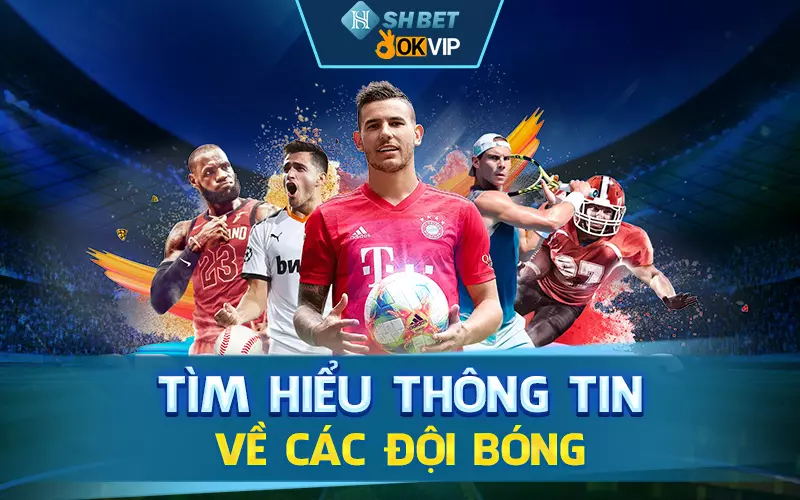 tim-hieu-thong-tin-ve-cac-doi-bong