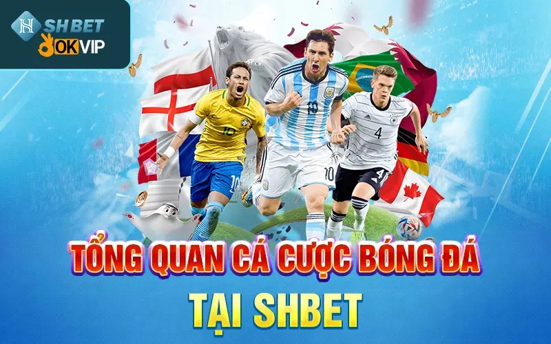 tong-quan-ca-cuoc-bong-da-tai-shbet