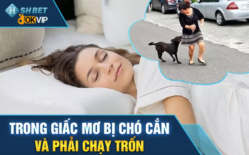 trong-giac-mo-bi-cho-can-va-phai-chay-tron