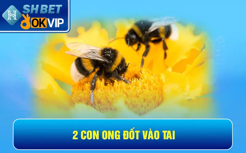 2 con ong đốt vào tai