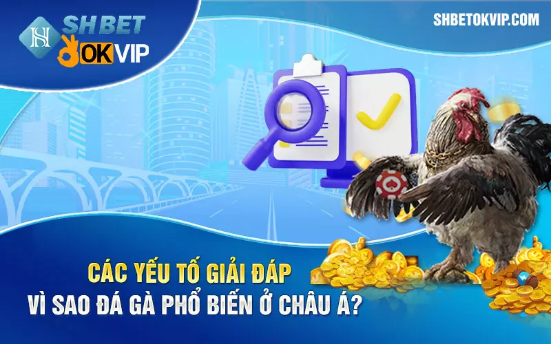 Các yếu tố giải đáp vì sao đá gà phổ biến ở châu Á?