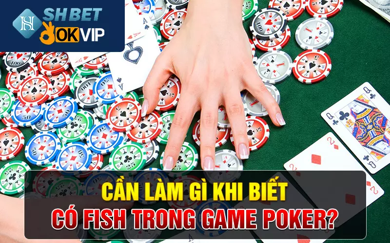 Cần làm gì khi biết có fish trong game Poker?