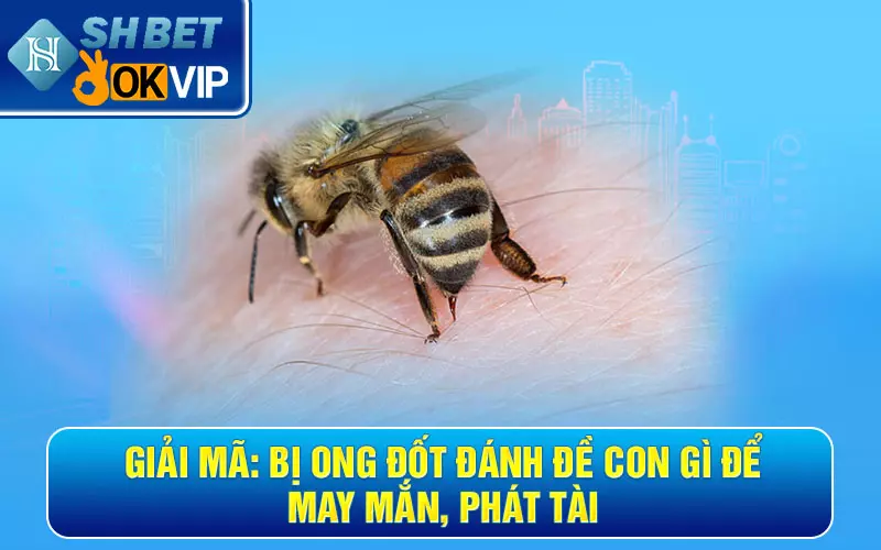 Giải mã: Bị ong đốt đánh đề con gì để may mắn, phát tài