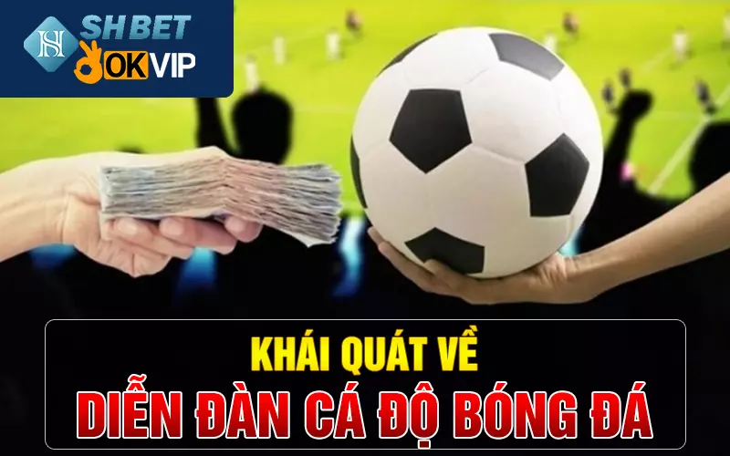 Khái quát về diễn đàn cá độ bóng đá