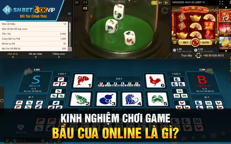 Kinh nghiệm chơi game bầu cua online là gì?