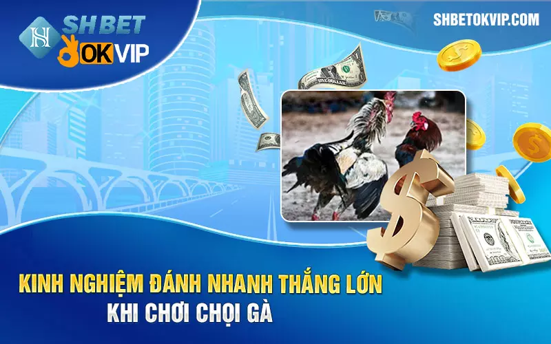 Kinh nghiem danh nhanh thang lon khi choi choi ga