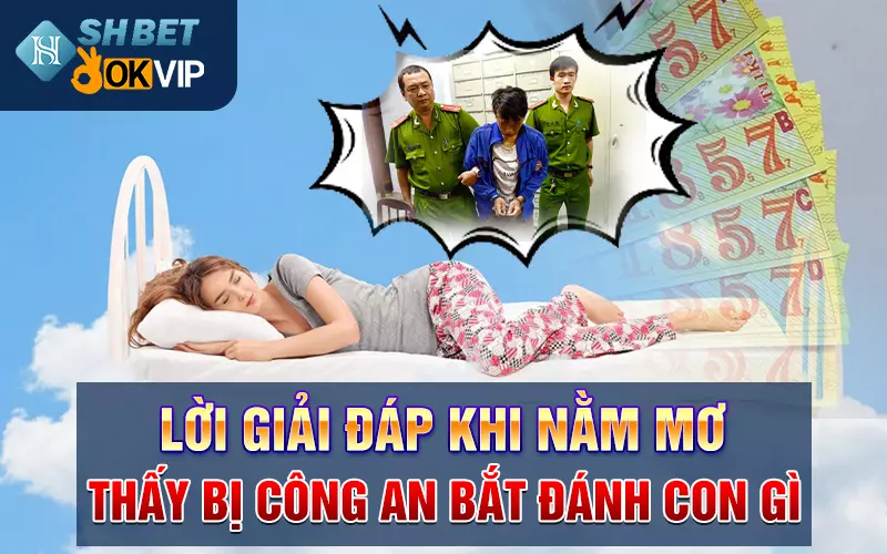 Lời giải đáp khi nằm mơ thấy bị công an bắt đánh con gì