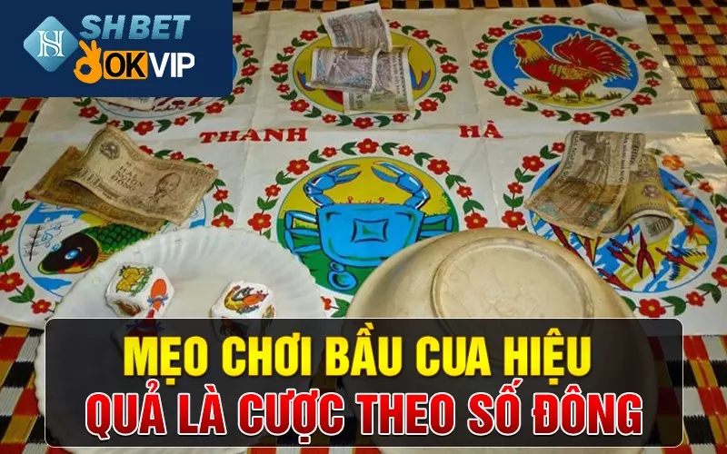 Mẹo chơi bầu cua hiệu quả là cược theo số đông