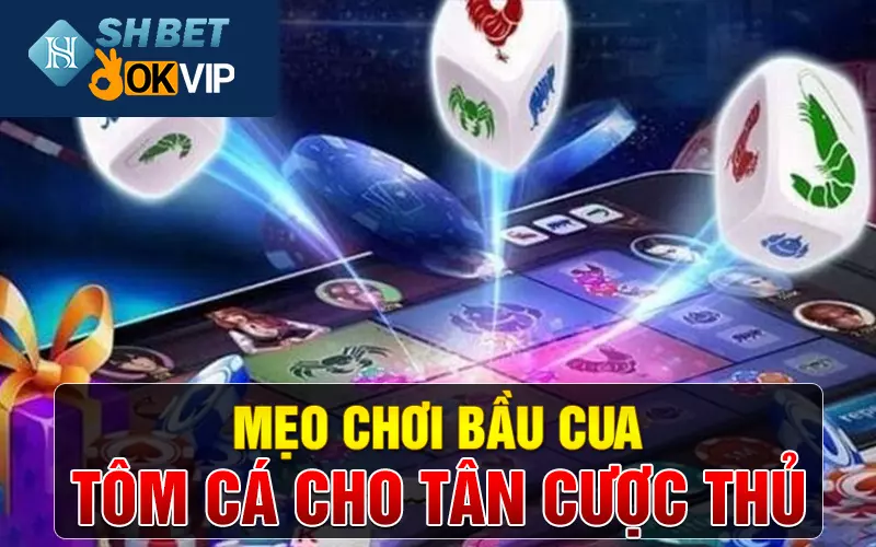 Mẹo chơi bầu cua tôm cá cho tân cược thủ