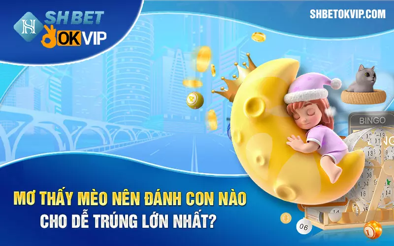 Mơ thấy mèo nên đánh con nào cho dễ trúng lớn nhất