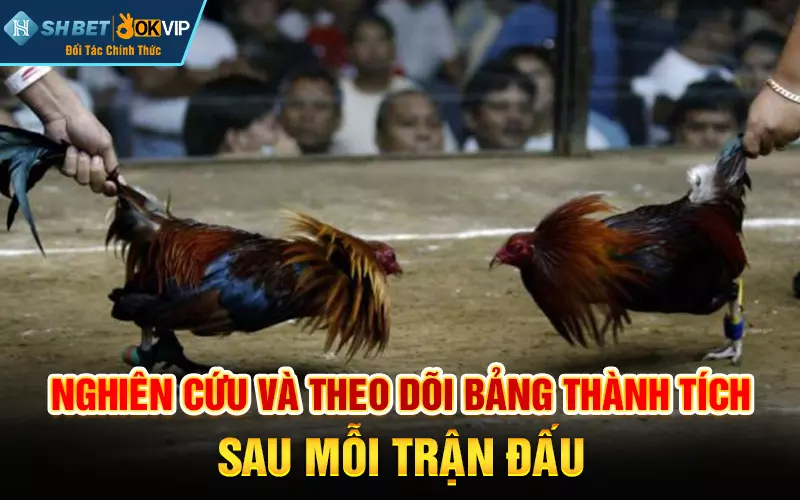 Nghiên cứu và theo dõi bảng thành tích sau mỗi trận đấu