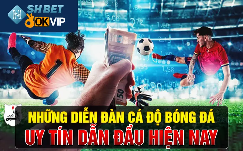 Những diễn đàn cá độ bóng đá uy tín dẫn đầu hiện nay