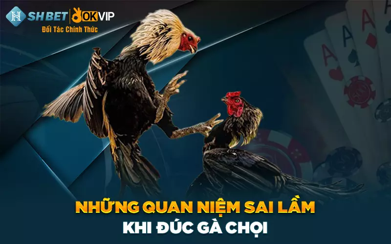 Những quan niệm sai lầm khi thực hiện đúc gà chọi