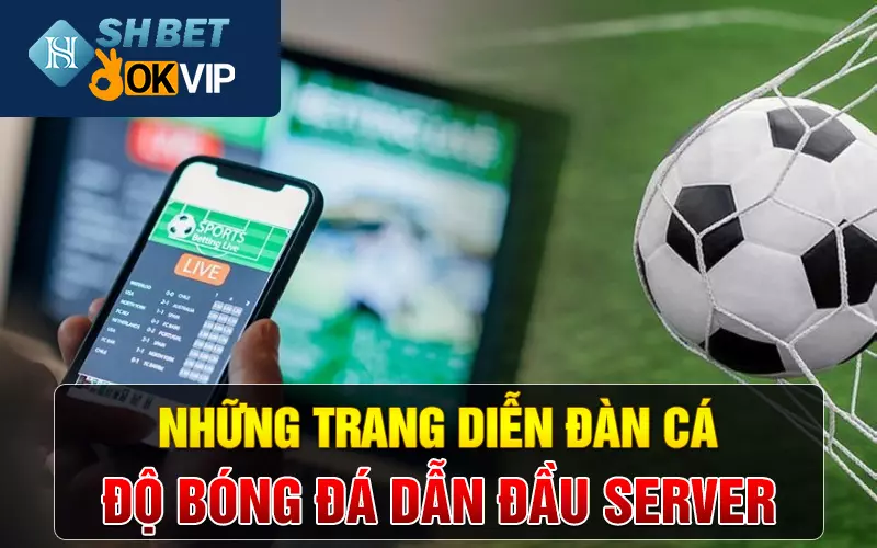 Những trang diễn đàn cá độ bóng đá dẫn đầu server