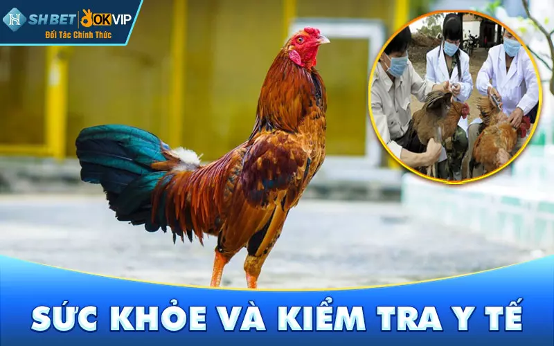 Sức khỏe và kiểm tra y tế