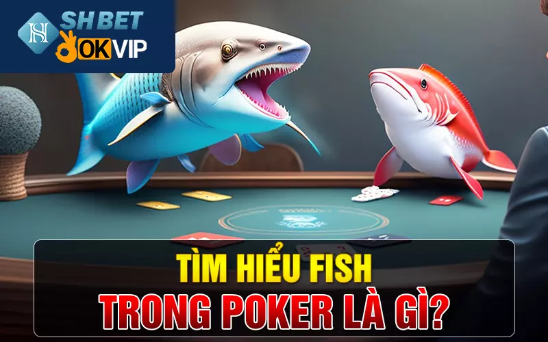 Tìm hiểu Fish trong Poker là gì?