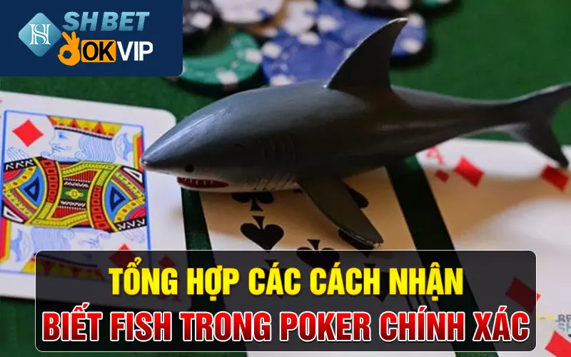 Tổng hợp các cách nhận biết fish trong Poker chính xác