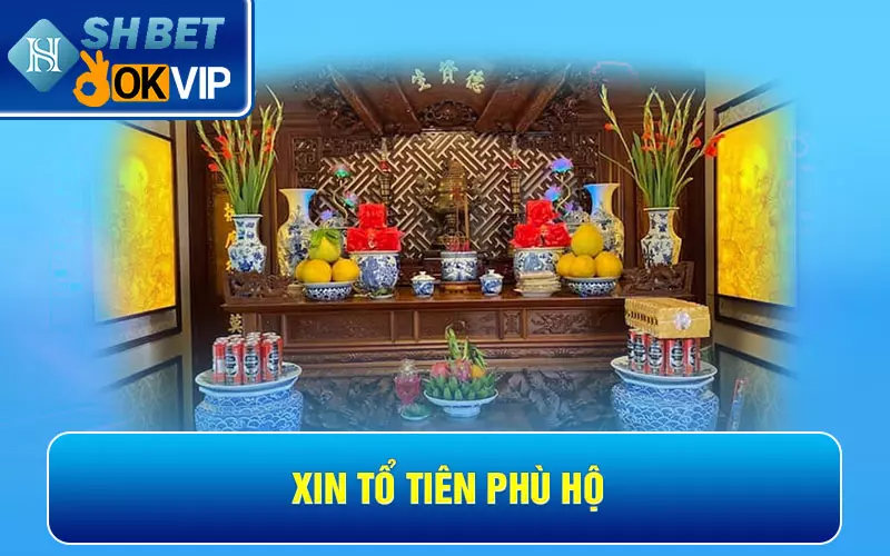 Xin tổ tiên phù hộ