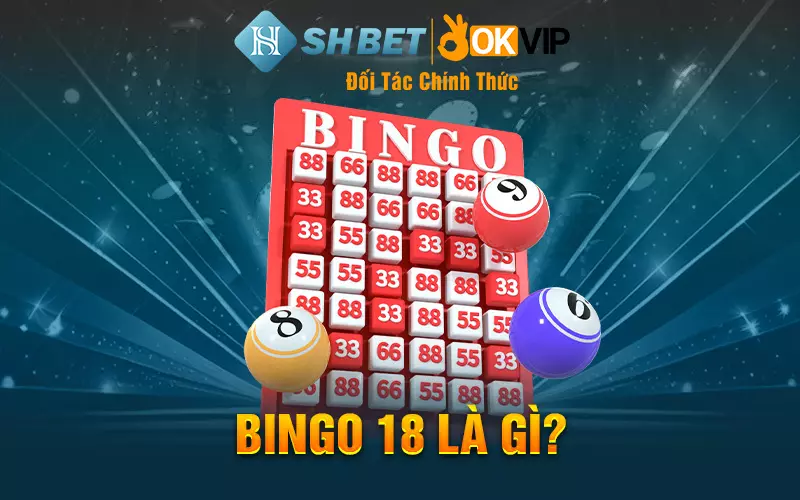 Bingo 18 là gì?