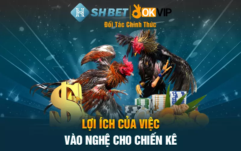 Lợi ích của việc vào nghệ cho chiến kê