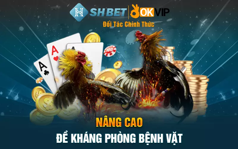 Nâng cao đề kháng phòng bệnh vặt