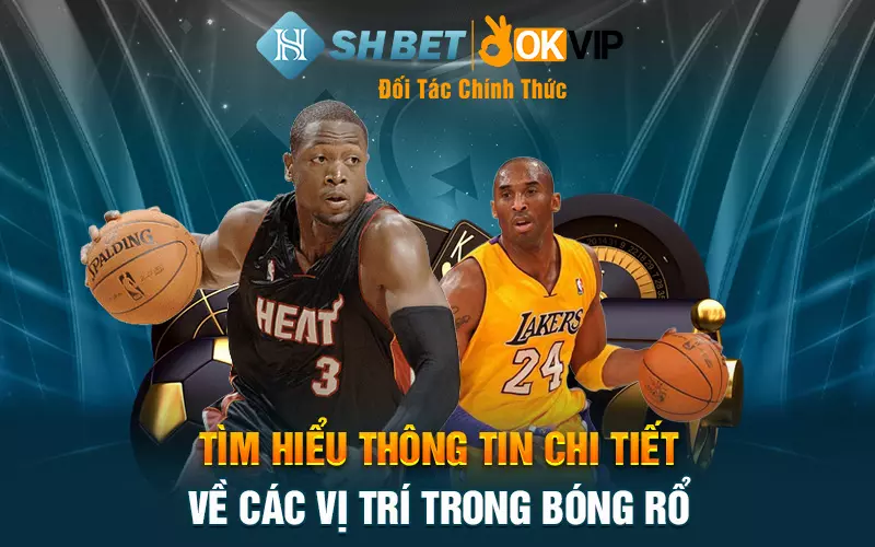 Tìm hiểu thông tin chi tiết về các vị trí trong bóng rổ