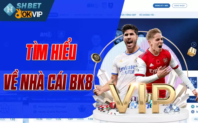 Tìm hiểu về nhà cái BK8