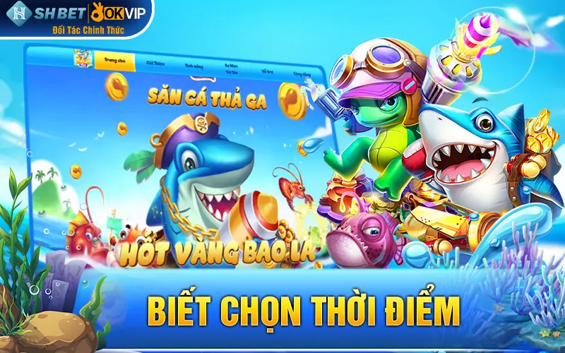 Biết chọn thời điểm