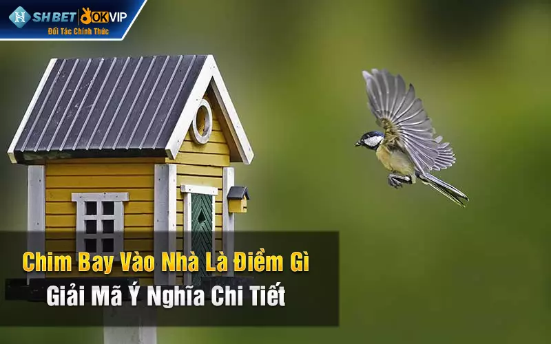 Chim bay vào nhà là điềm gì - Giải mã ý nghĩa chi tiết