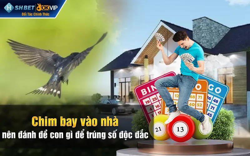 Chim bay vào nhà nên đánh đề con gì để trúng số độc đắc