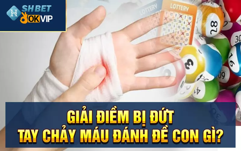 Giải điềm bị đứt tay chảy máu đánh đề con gì?