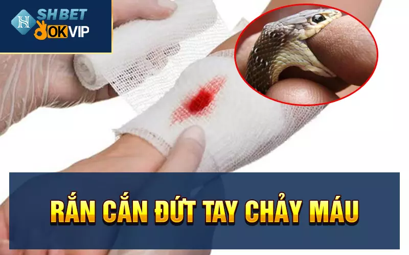 Rắn cắn đứt tay chảy máu