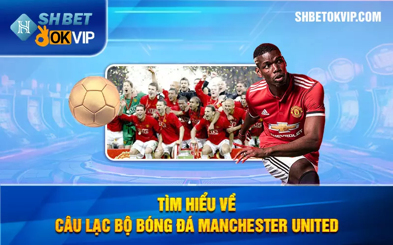 Tìm hiểu về câu lạc bộ bóng đá Manchester United