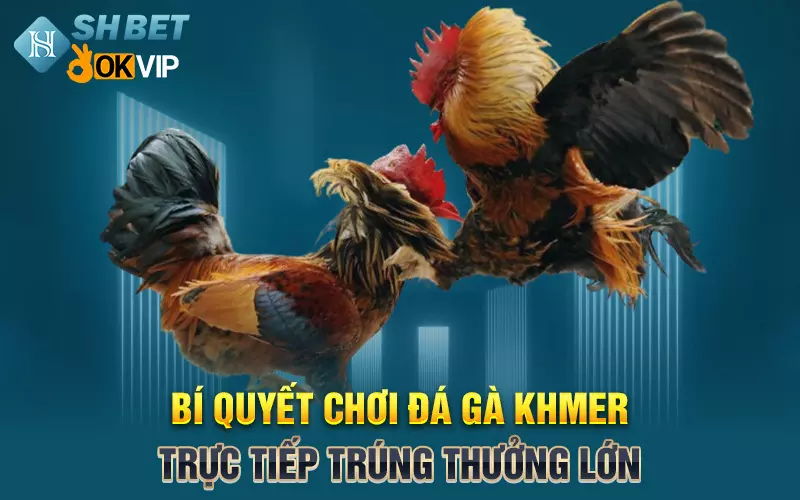 Bí quyết chơi đá gà khmer trực tiếp trúng thưởng lớn