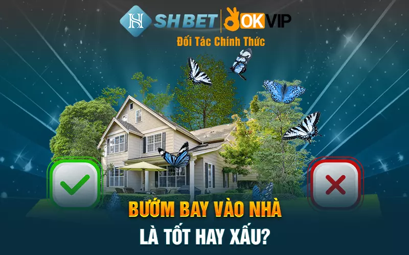 Bướm bay vào nhà là tốt hay xấu?