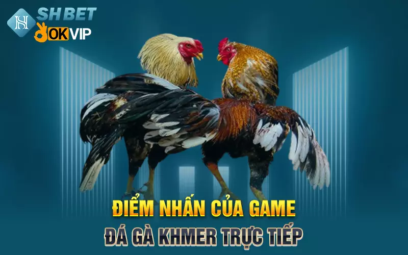 Điểm nhấn của game đá gà khmer trực tiếp