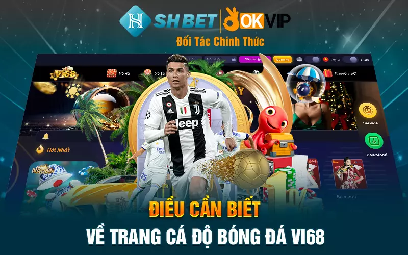 Điều cần biết về trang cá độ bóng đá Vi68