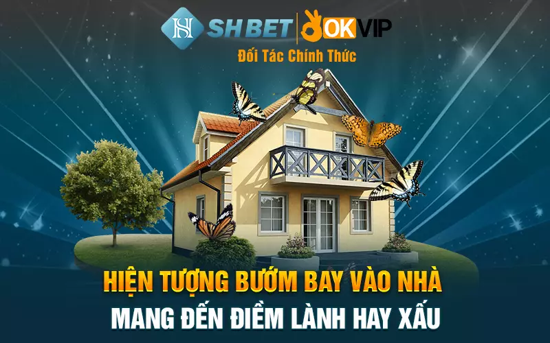 Hiện tượng bướm bay vào nhà mang đến điềm lành hay xấu